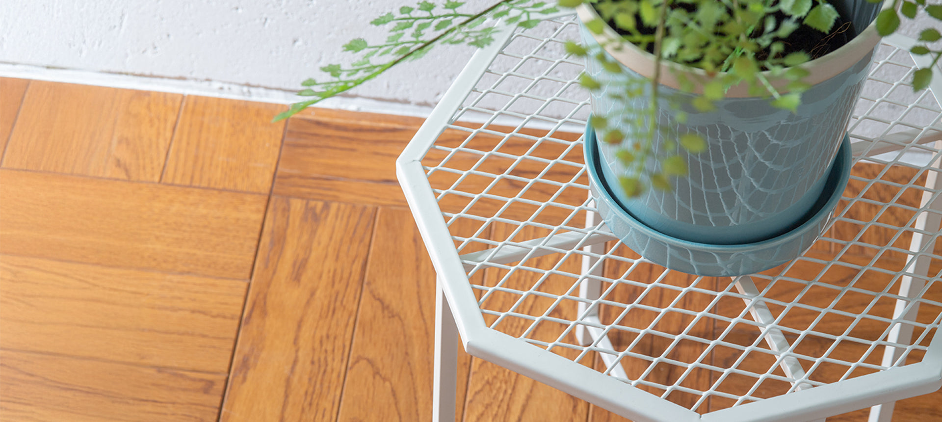 PLUS the green】新商品のご紹介-プランツスタンド- – POSH LIVING CO.,LTD