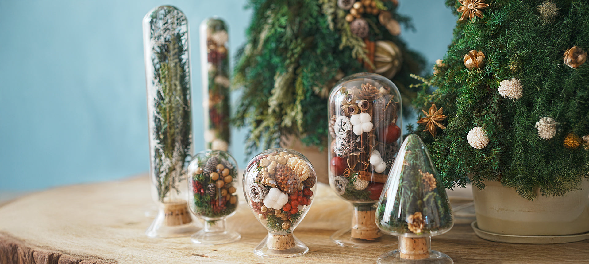 ガラスの魔法で彩るクリスマス。「シードボトル」で作る小さな冬の世界