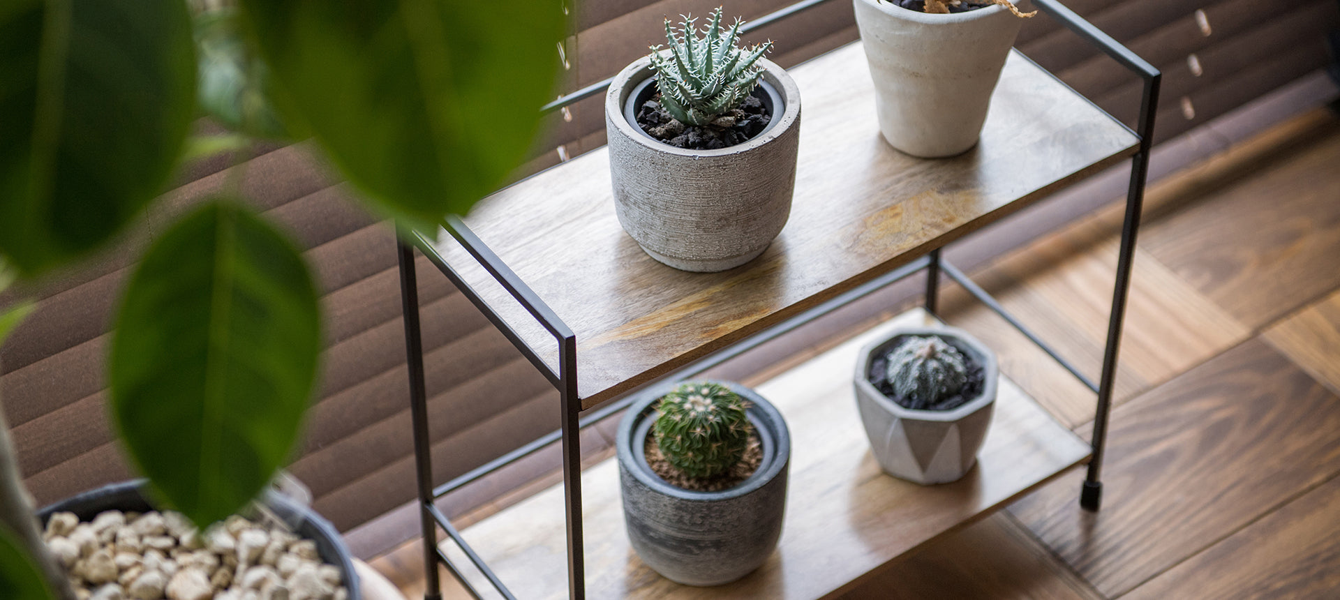 ホームデコ | POSH LIVING CO.,LTD.