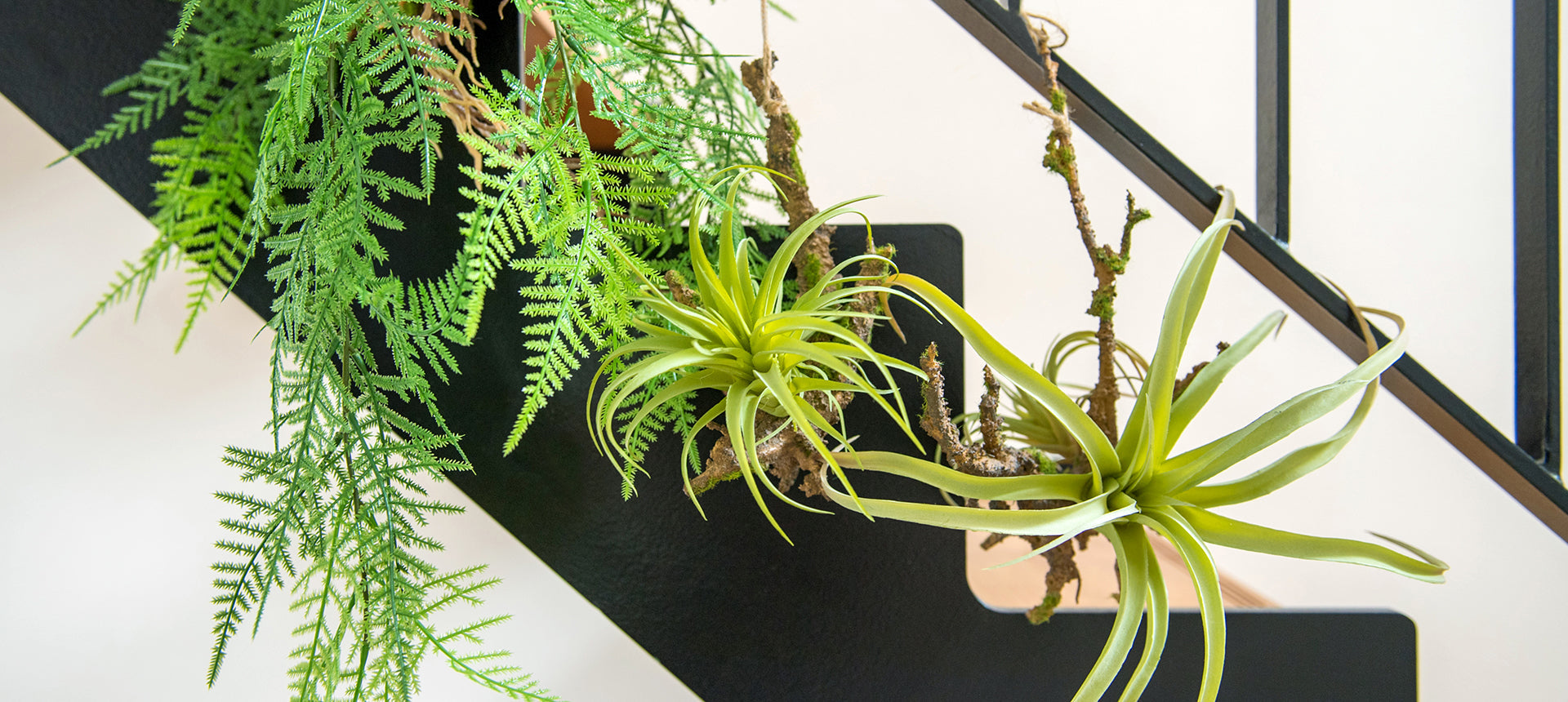 光も土もいらない。置くだけで完成する癒しの空間。