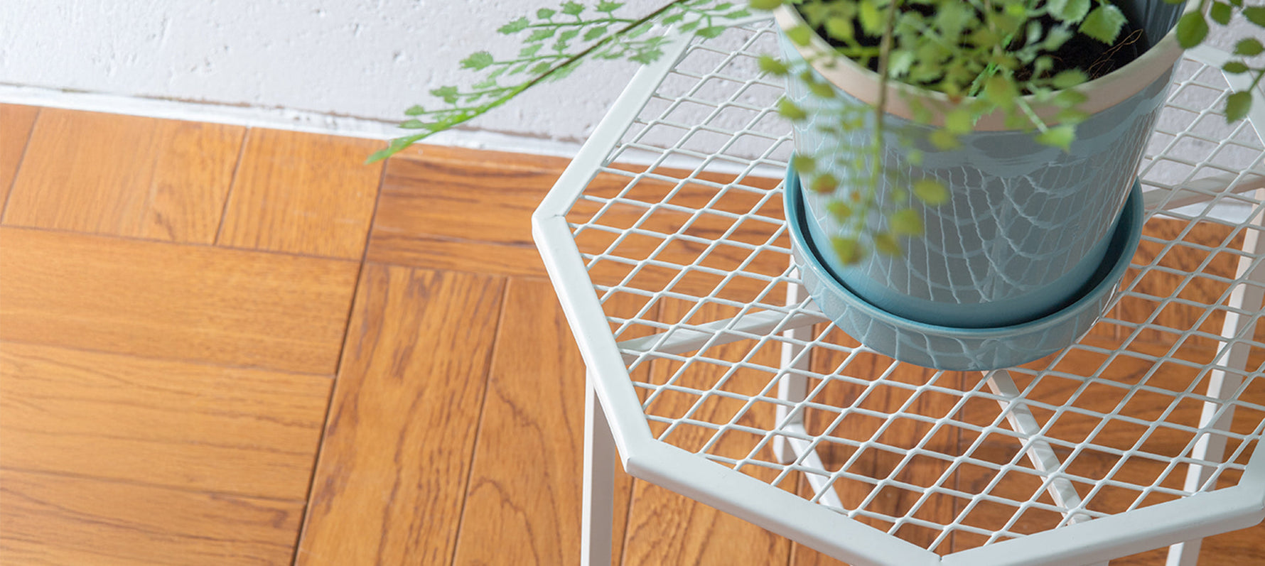 【PLUS the green】新商品のご紹介-プランツスタンド-