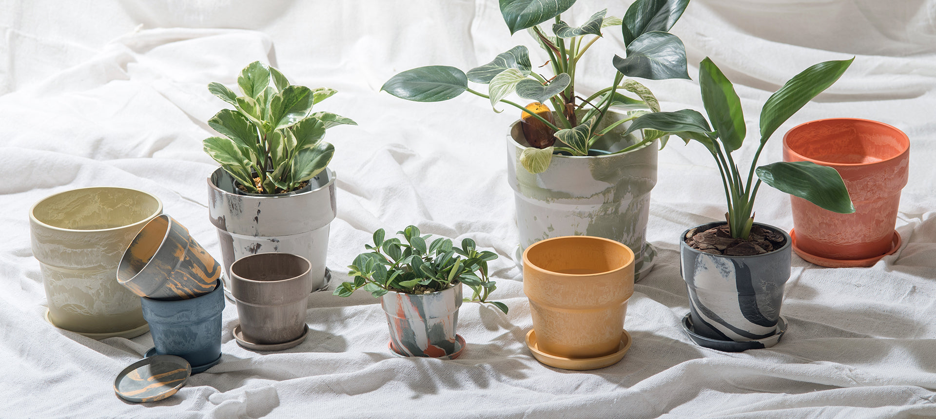 【PLUS the green】GreenSnap Marche 横浜2026 春出店のお知らせ