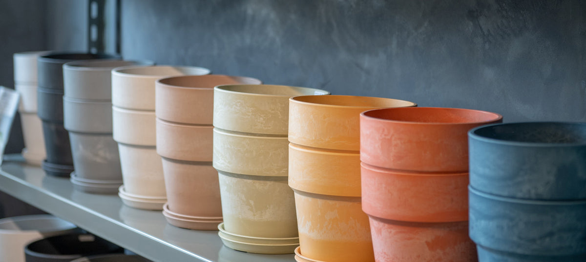 【PLUS the green】LOCALGREEN FESTIVAL’26 GREEN MARKET出店のお知らせ
