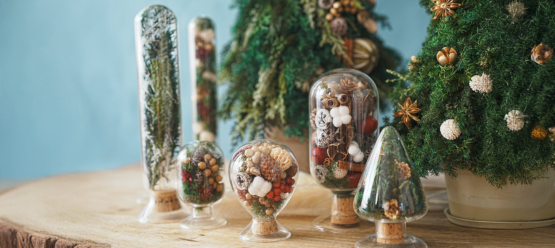 ガラスの魔法で彩るクリスマス。「シードボトル」で作る小さな冬の世界。