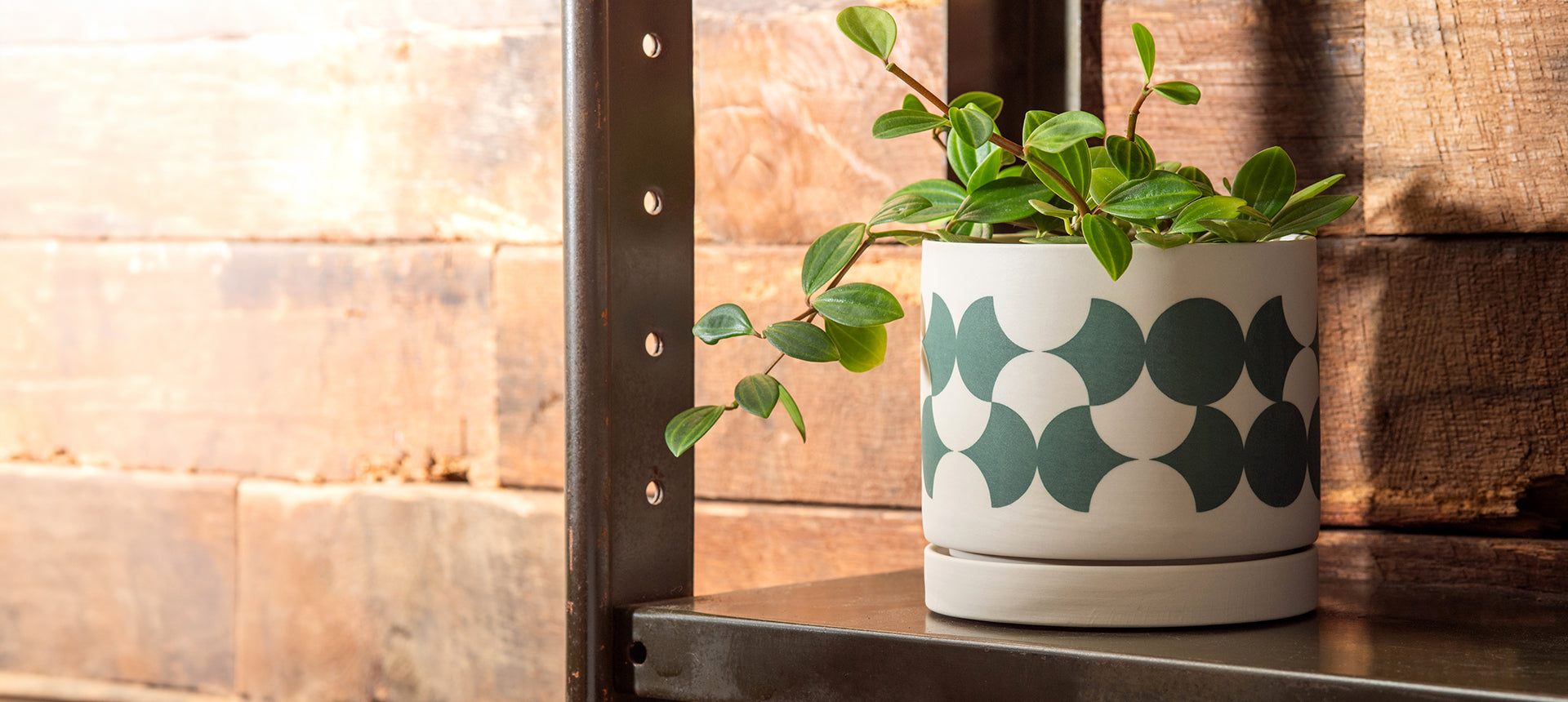 POSH LIVING CO.,LTD.