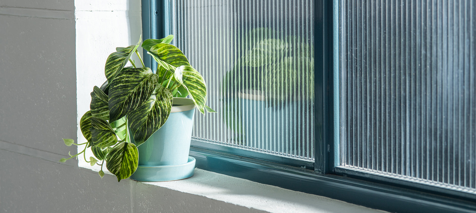 【PLUS the green】の新商品「グロッシーポット」のご紹介