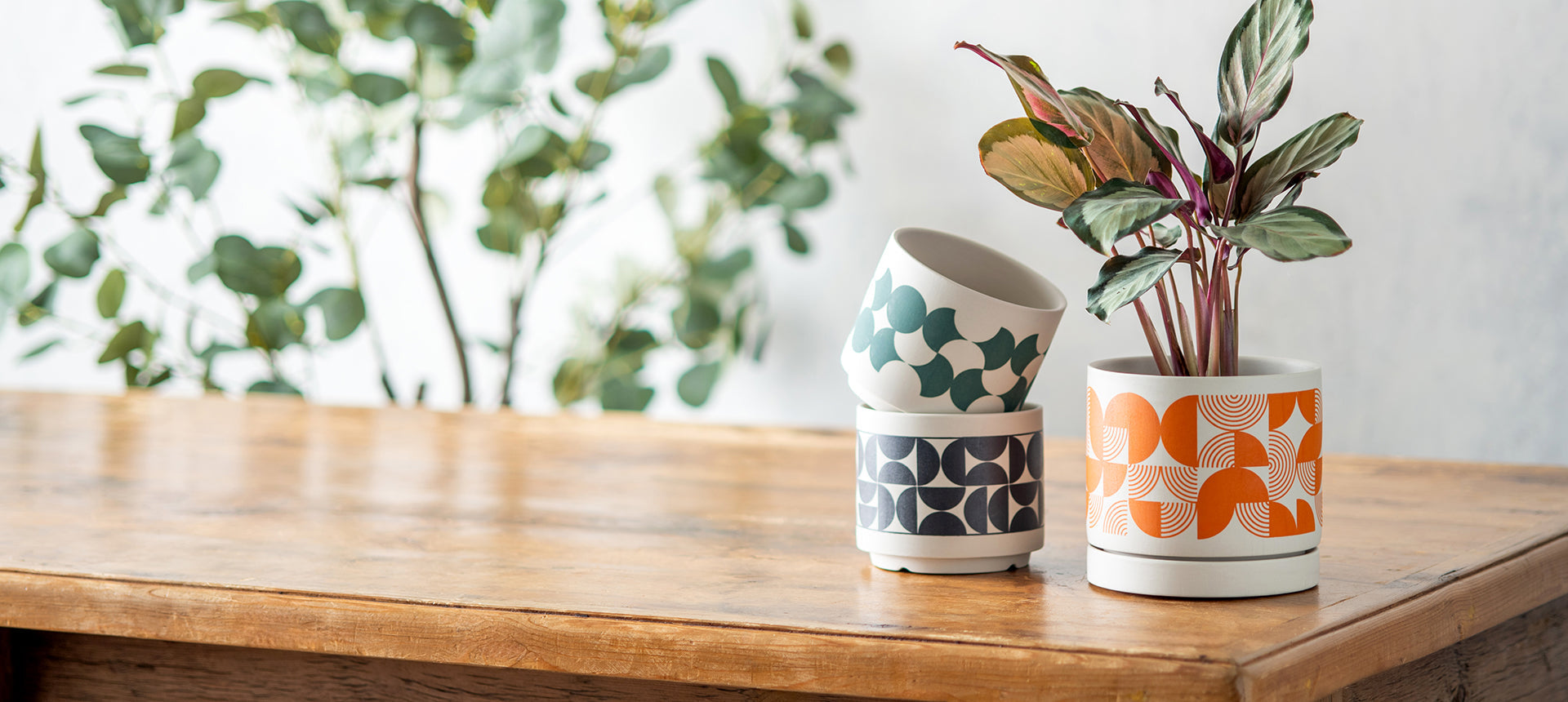 【PLUS the green】第101回東京インターナショナル ギフト・ショー春2026出展のお知らせ