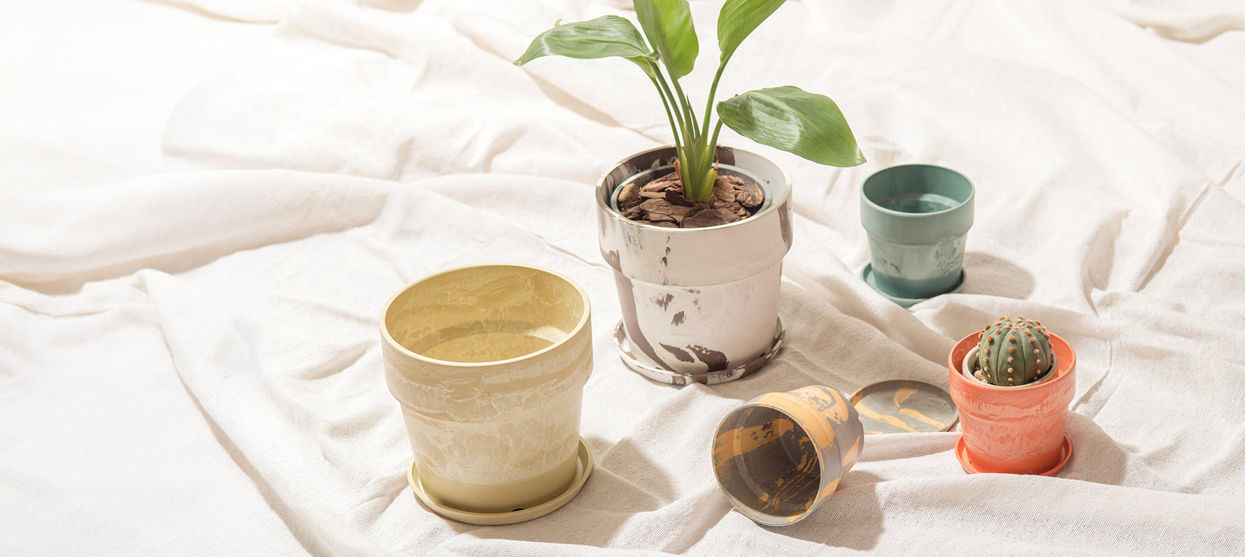 【PLUS the green】植祭GLOBAL BOTANICAL JAM 2026夏出店のお知らせ