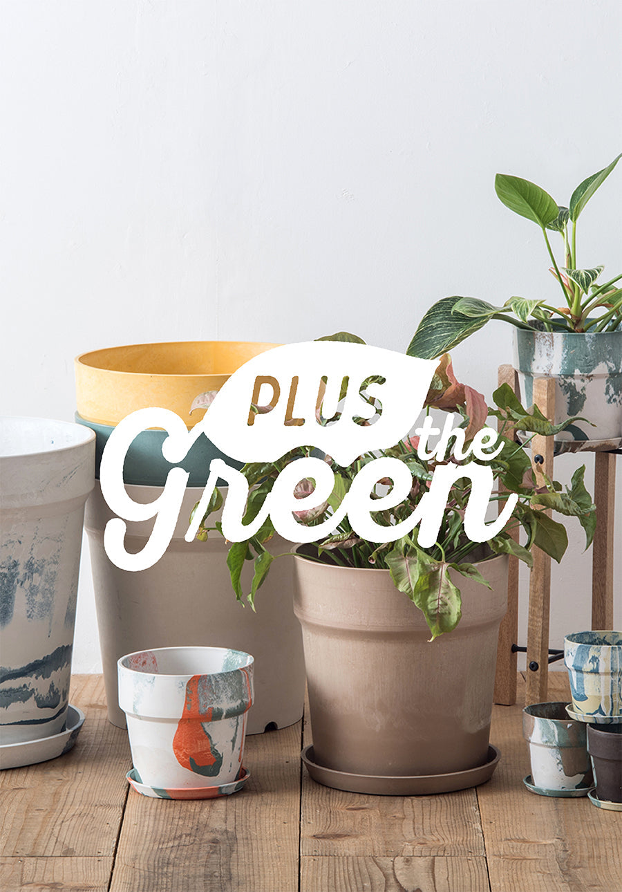 PLUS the green