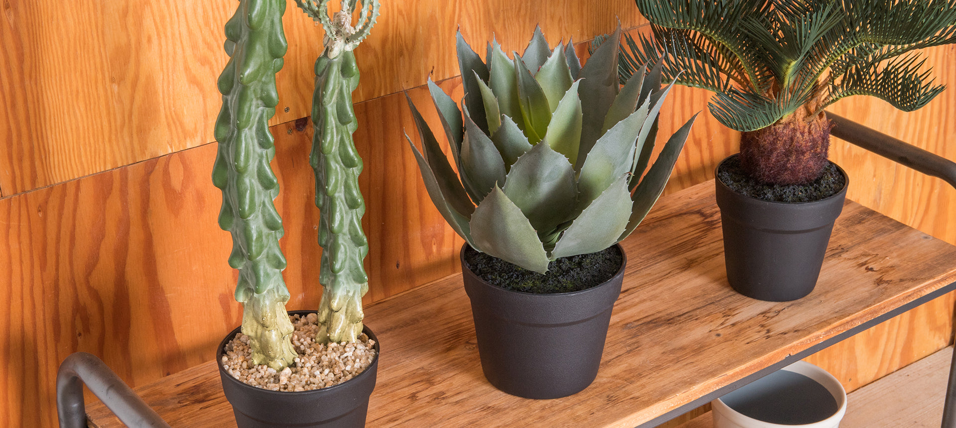 PLUS the green】新商品「グロッシーポット」のご紹介 – POSH LIVING