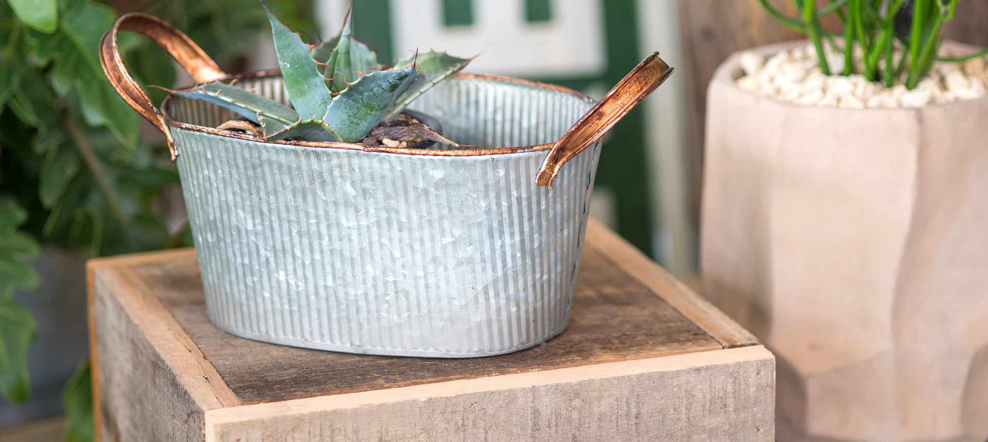 ホッシー PLUS the green】新商品「グロッシーポット」のご紹介 – POSH LIVING