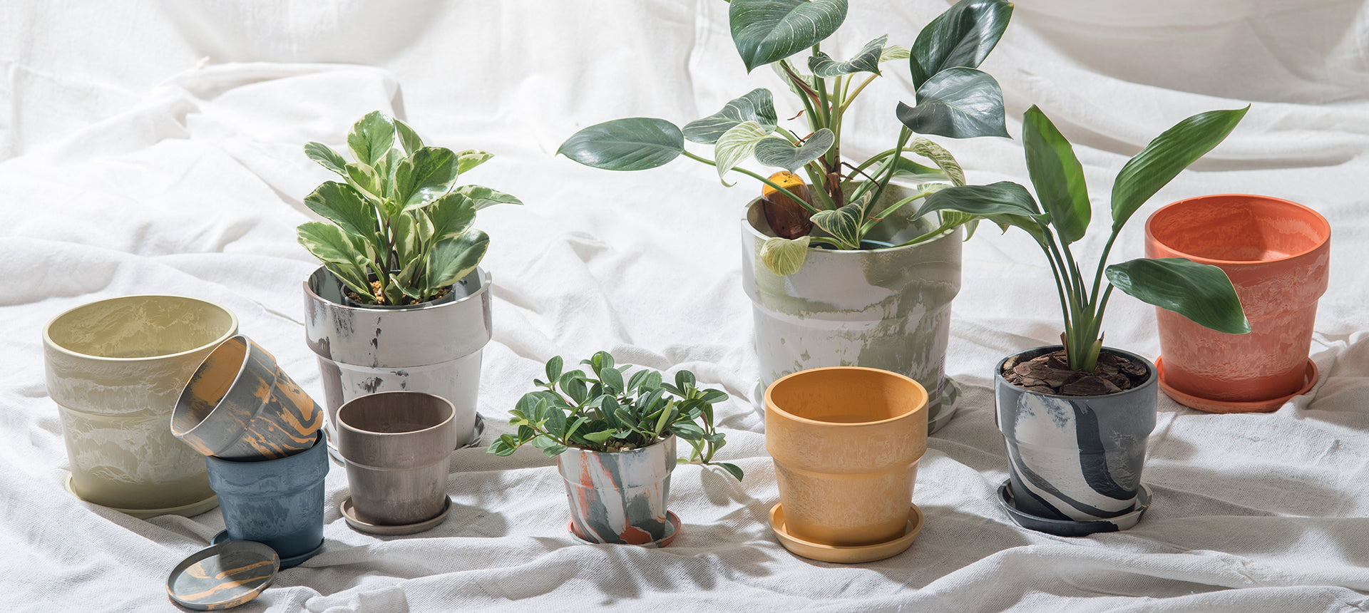 PLUS the green】新商品「グロッシーポット」のご紹介 – POSH LIVING