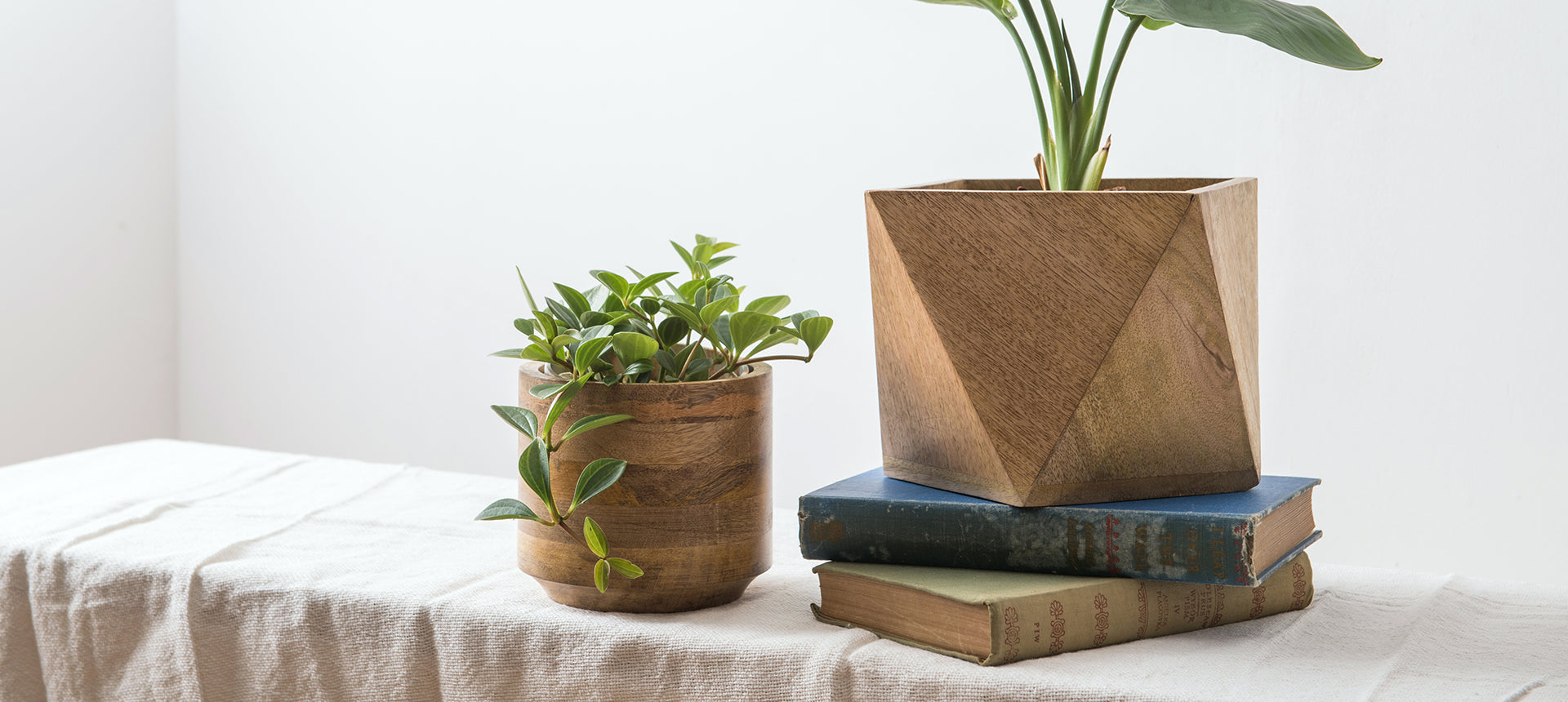 PLUS the green】新商品「グロッシーポット」のご紹介 – POSH LIVING