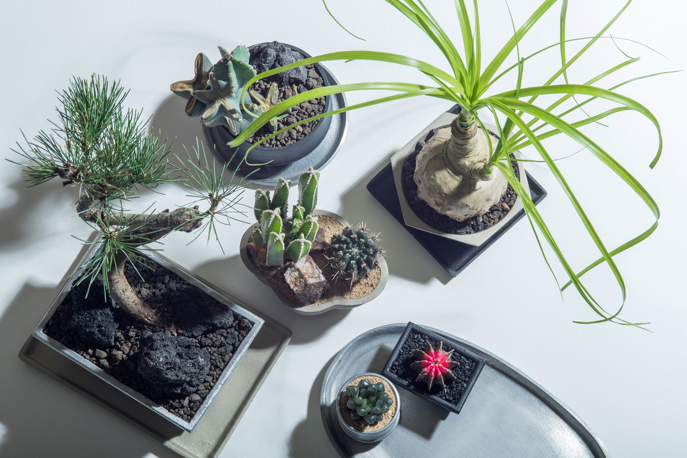 POSH LIVING CO.,LTD.