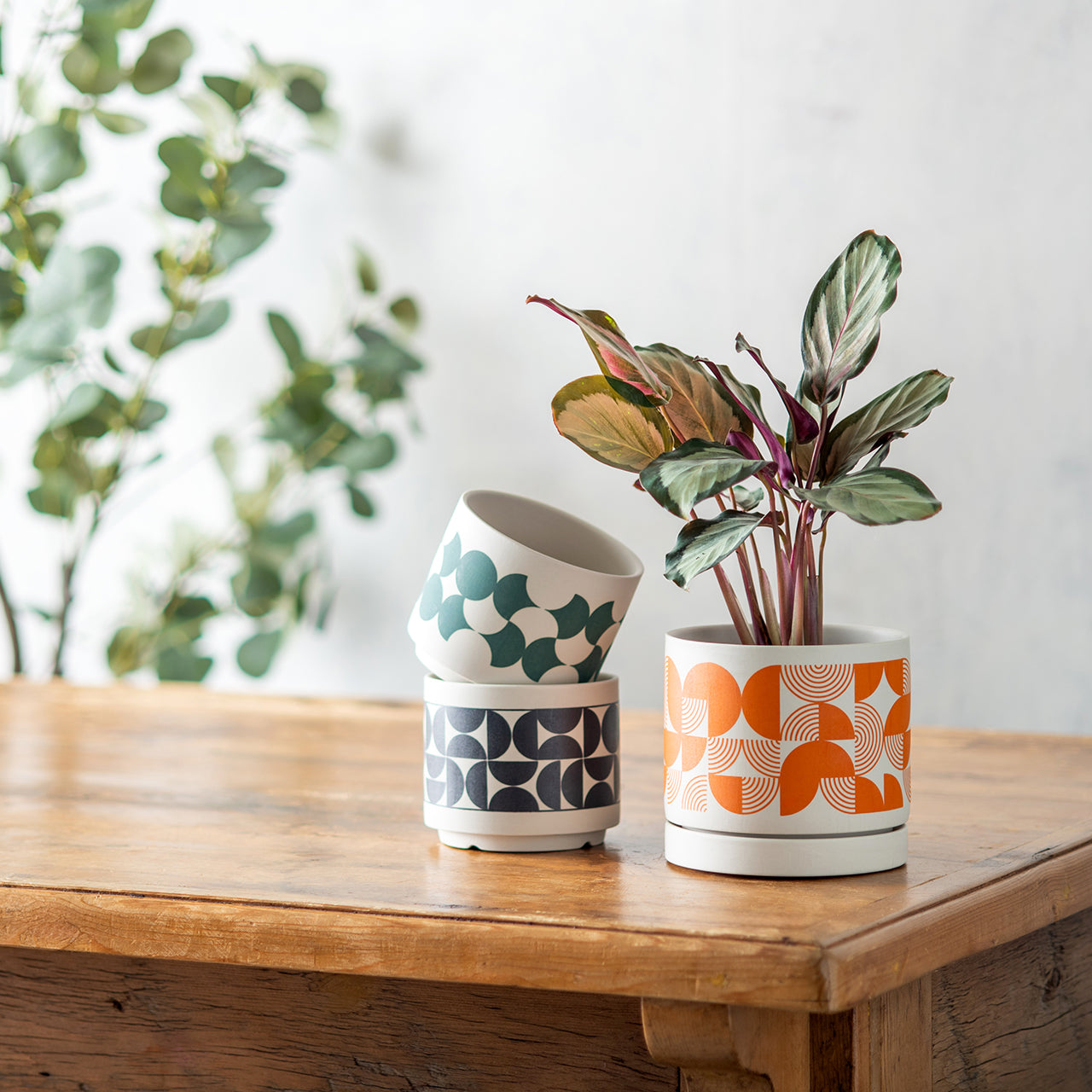 POSH LIVING CO.,LTD.