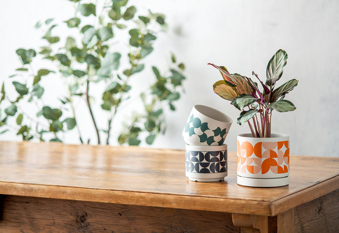 POSH LIVING CO.,LTD.