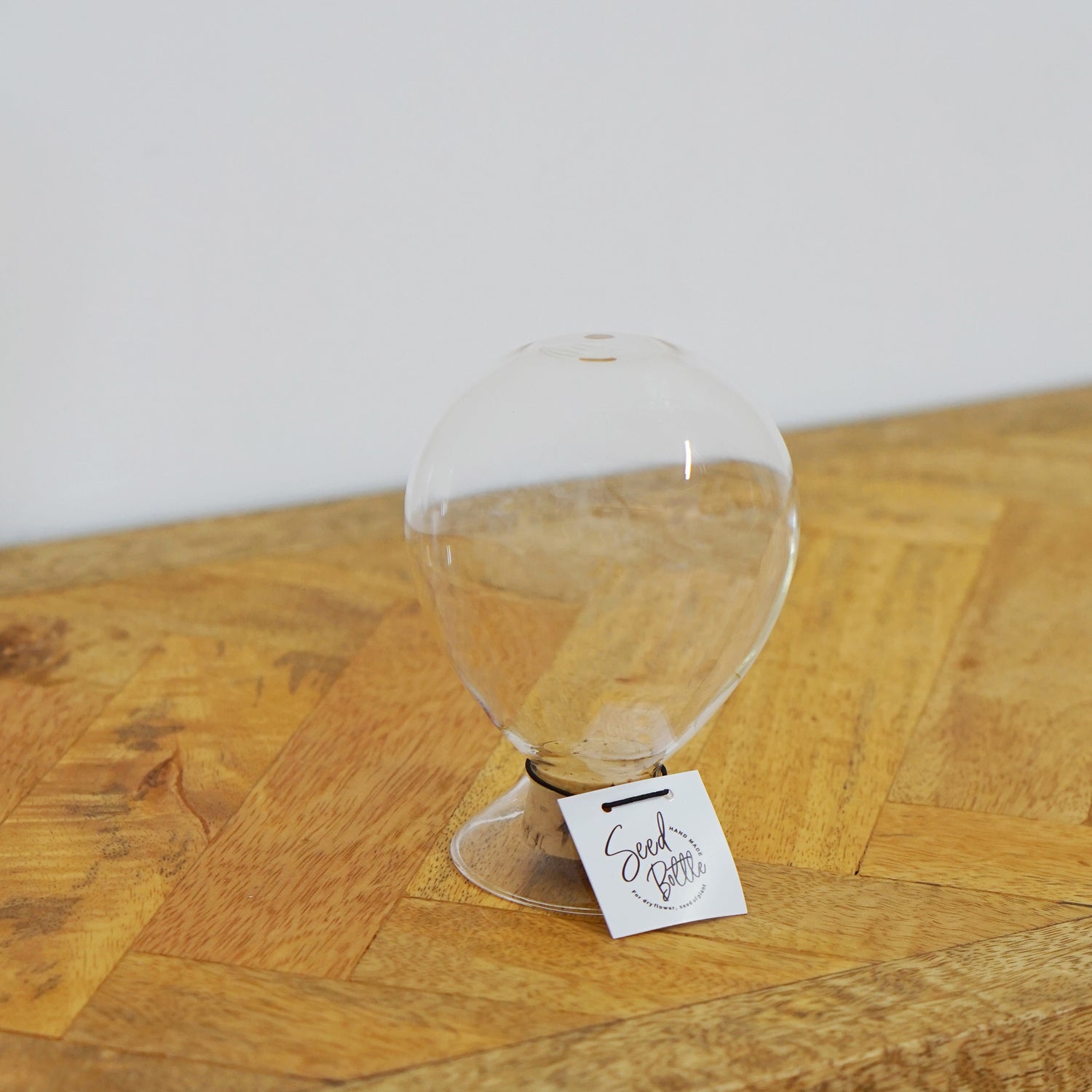 22713 シードボトル　バルーン