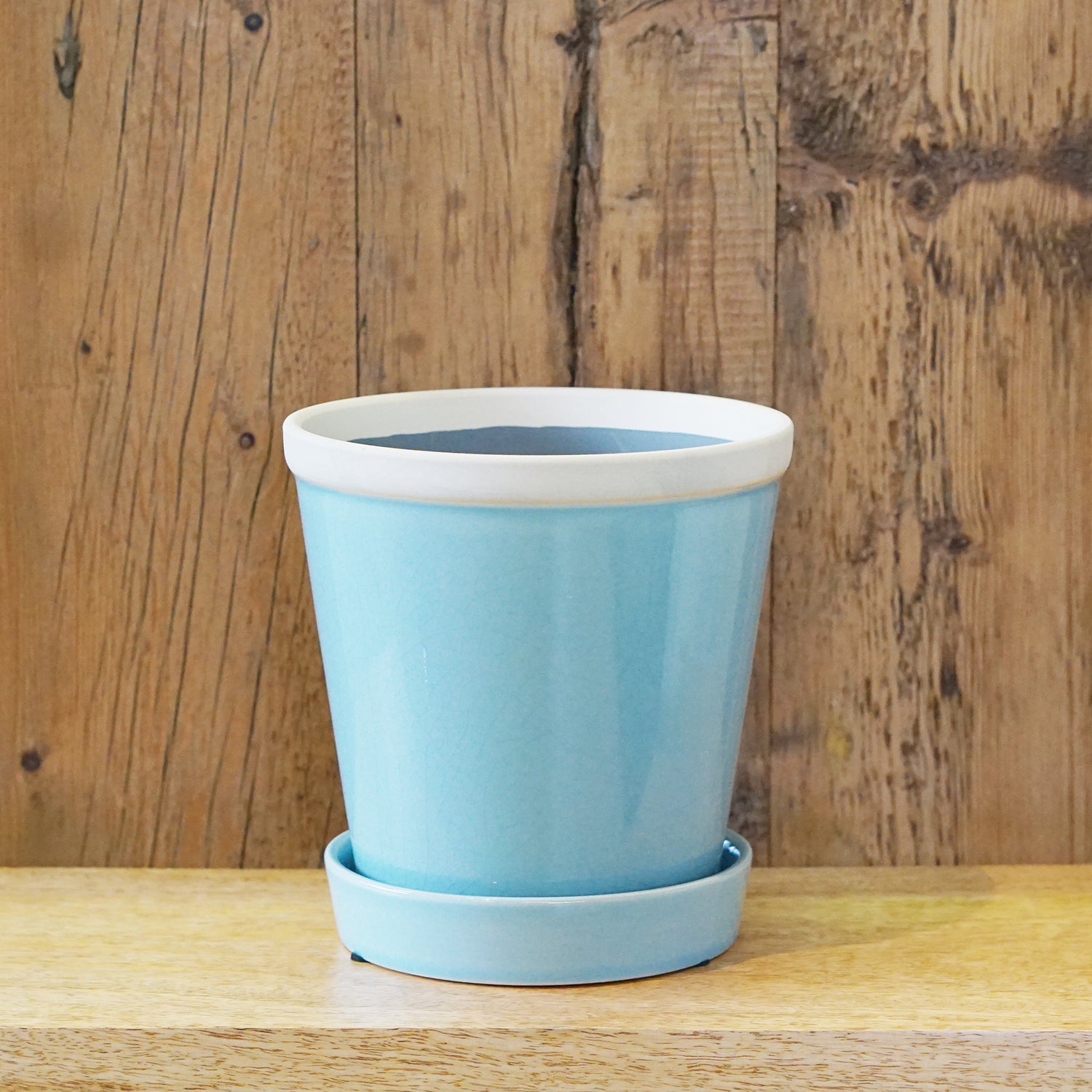 【別倉庫発送】30808 グロッシーポット スカイ