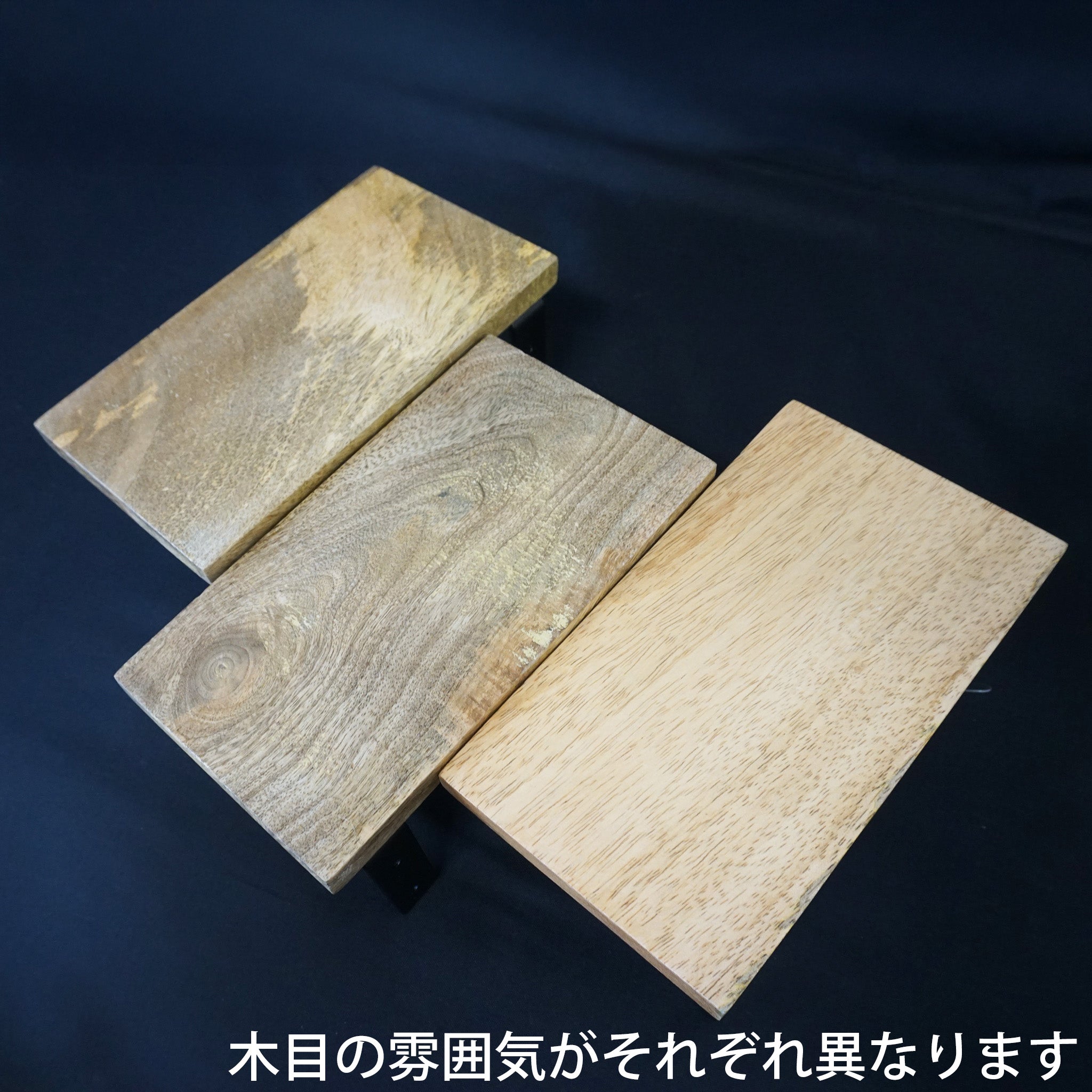 41282 トイレットペーパーホルダー シングル ブラック – POSH LIVING