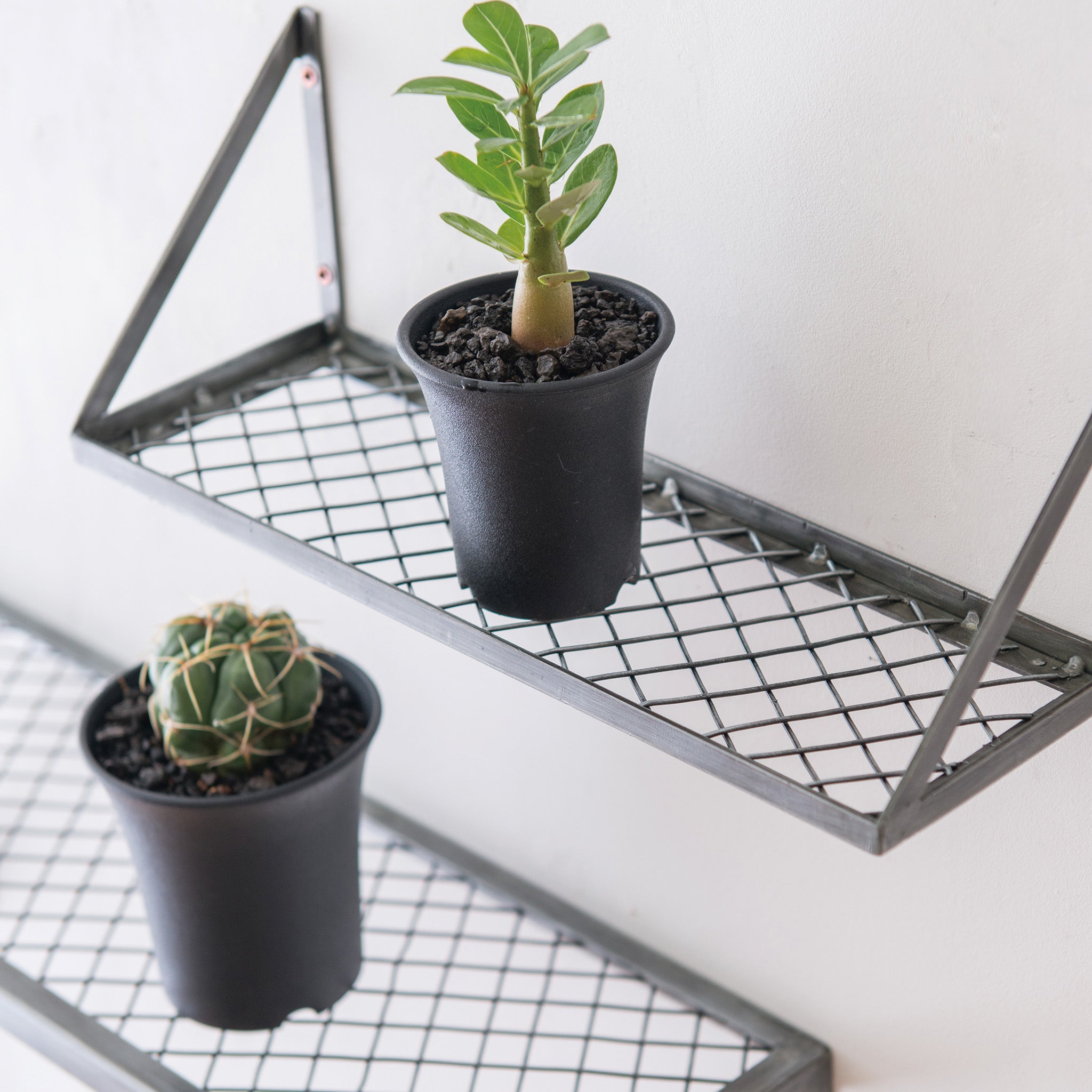 63781 メッシュラックS ブラック – POSH LIVING CO.,LTD