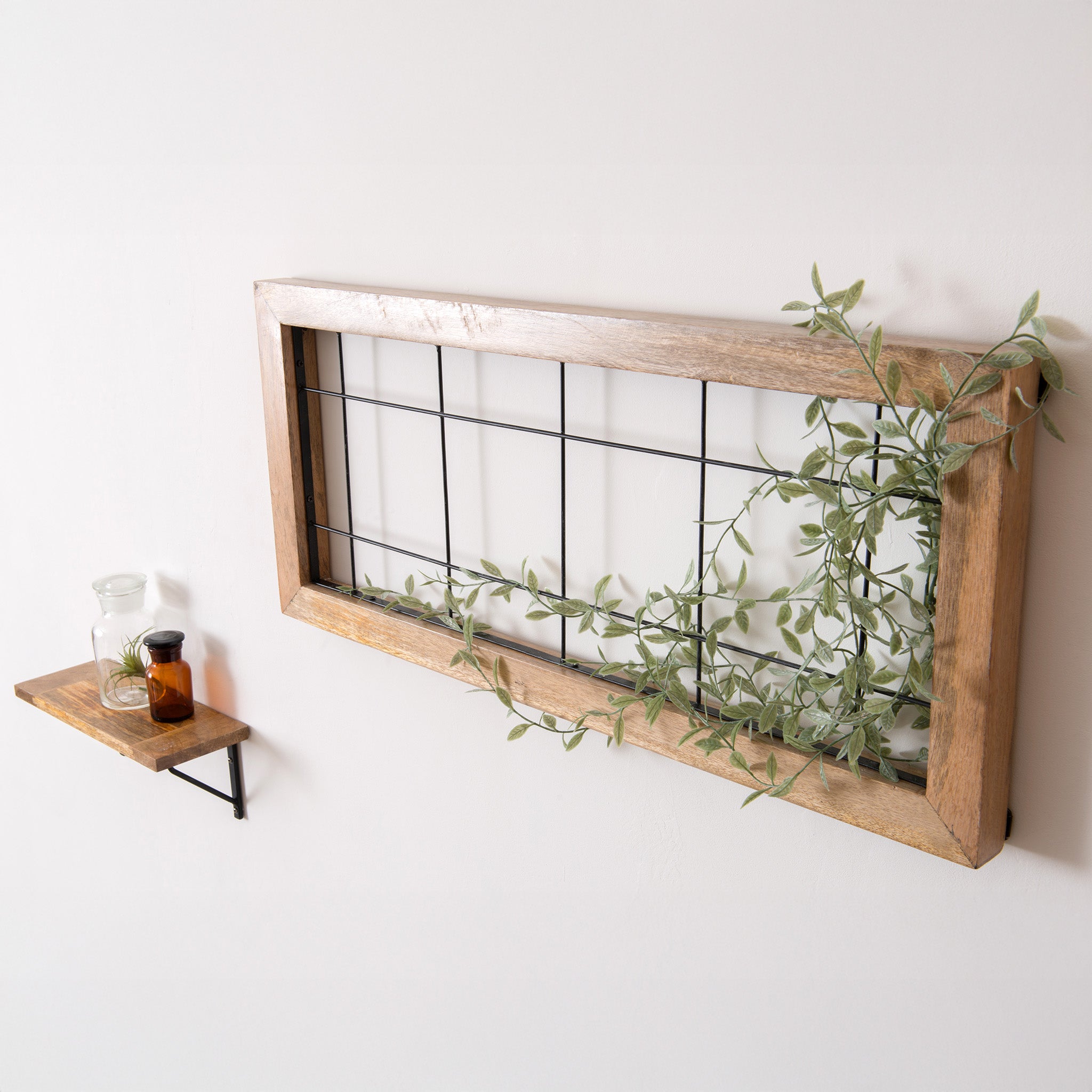 80879 コロラータス – POSH LIVING CO.,LTD