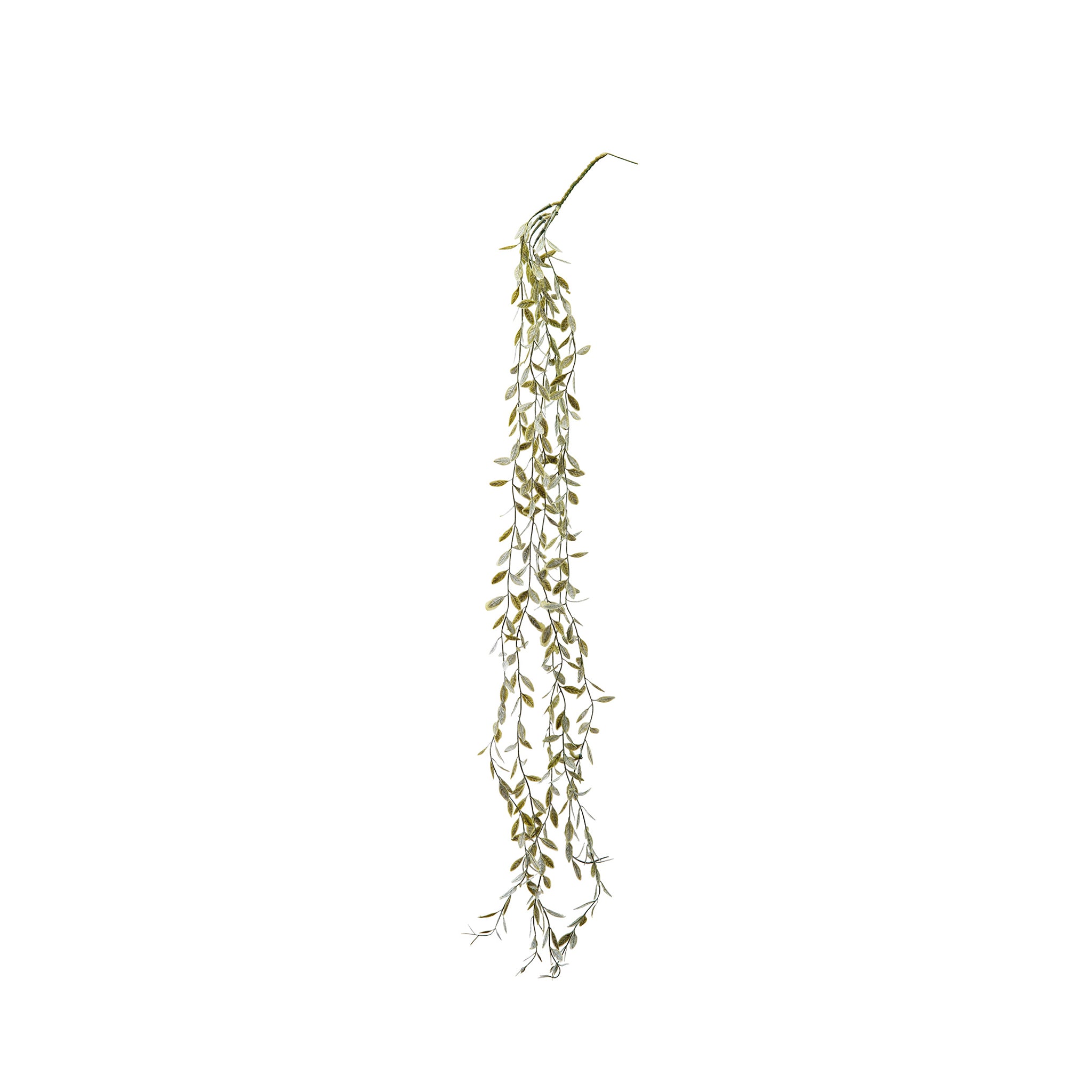 ほさちょ様 80879 コロラータス – POSH LIVING CO.,LTD