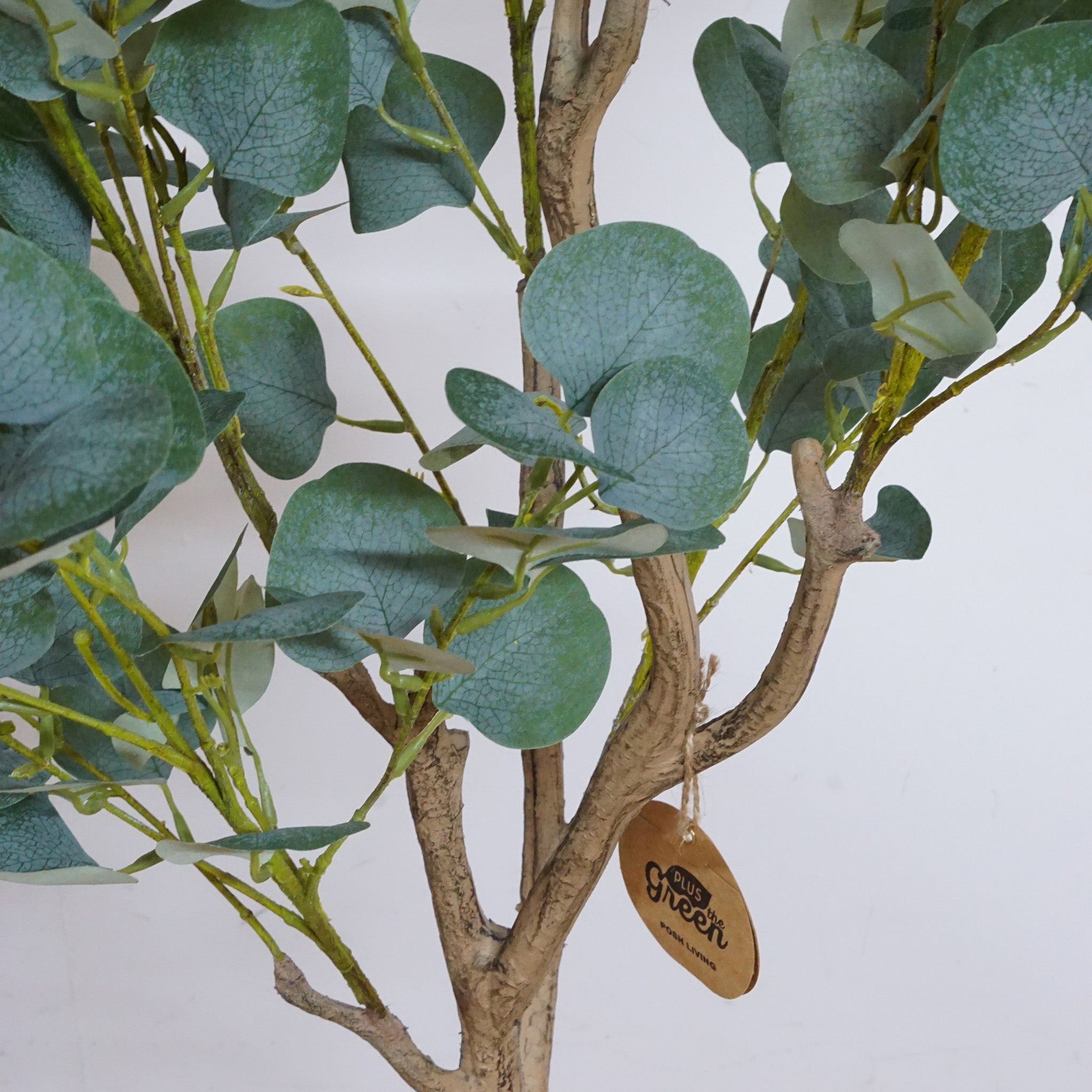 81022 ユーカリ – POSH LIVING CO.,LTD