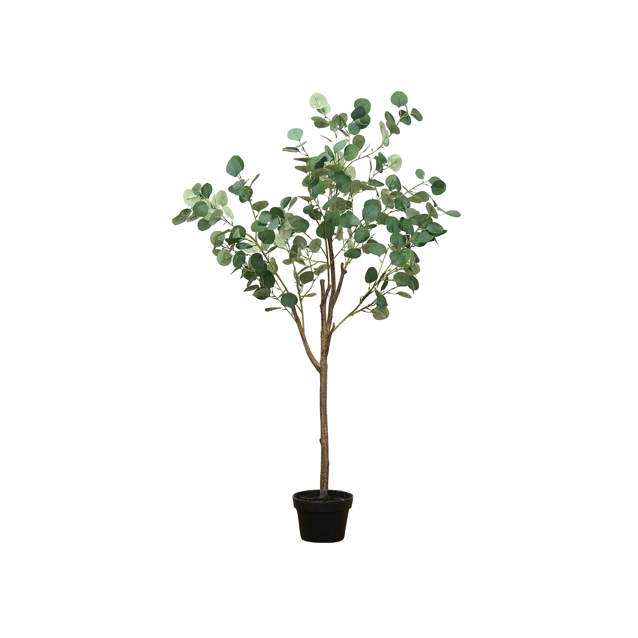 ユーカリ 81022 ユーカリ – POSH LIVING CO.,LTD