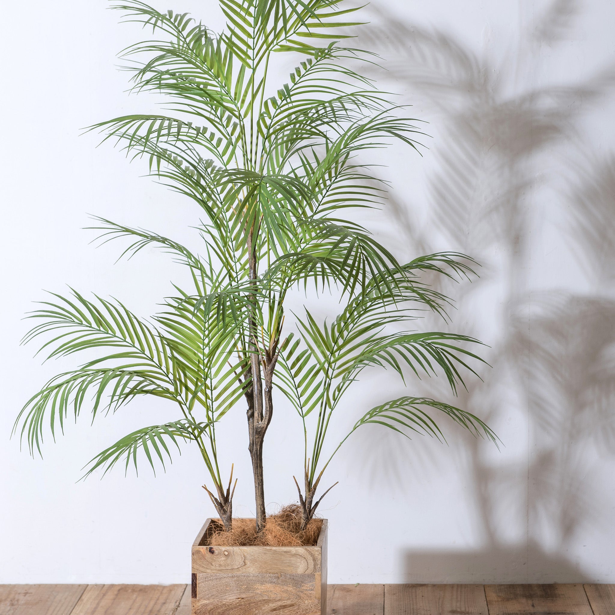 81023 フェイクツリー アレカヤシ 楽天市場】フェイクグリーン