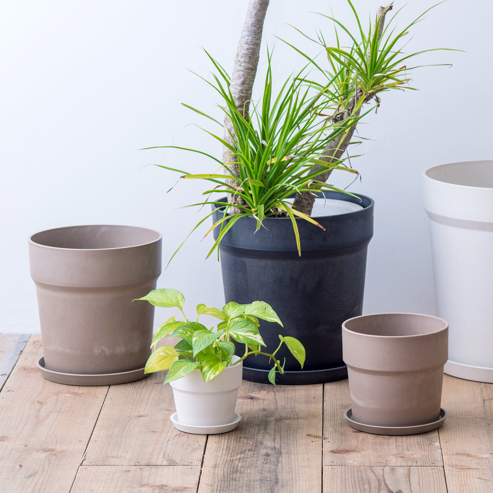 別倉庫発送】81147 アーバンプランツポット クリーム – POSH LIVING CO