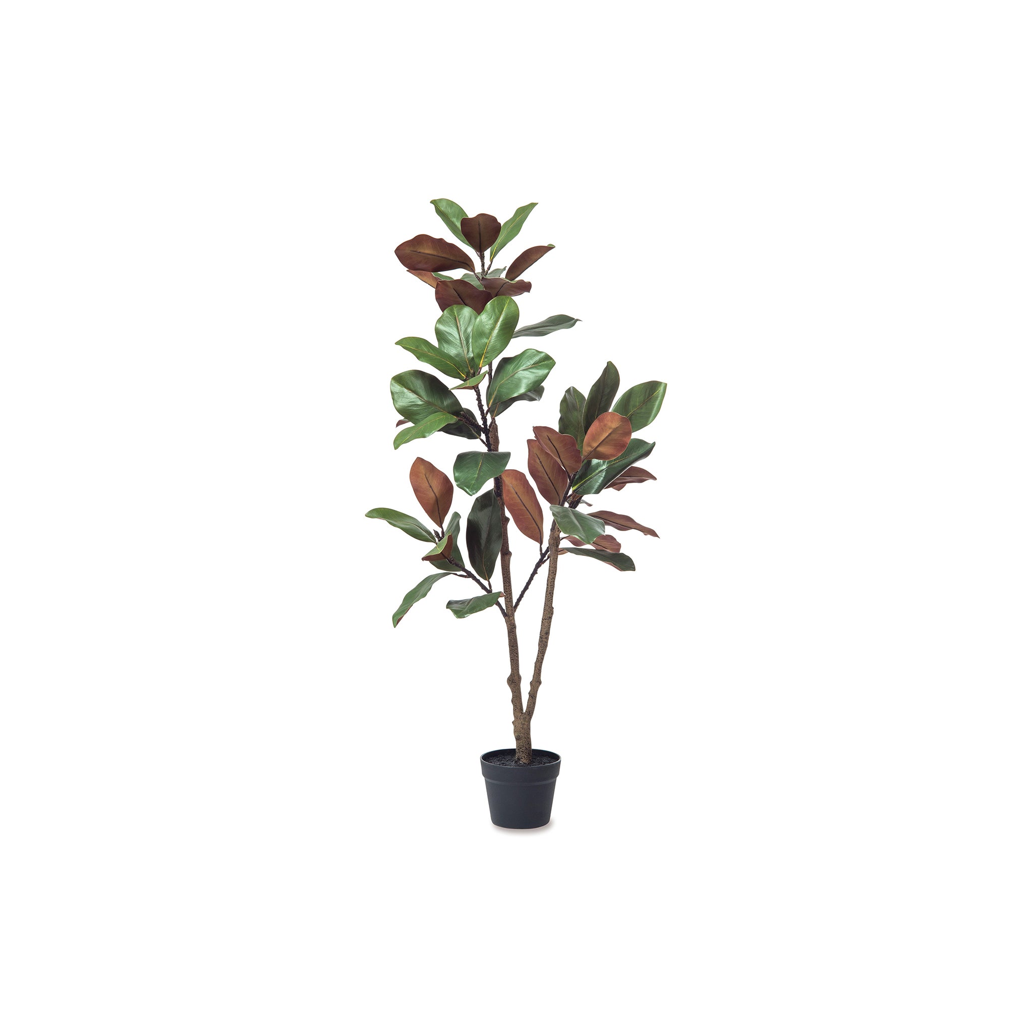 フェイクグリーン – POSH LIVING CO.,LTD