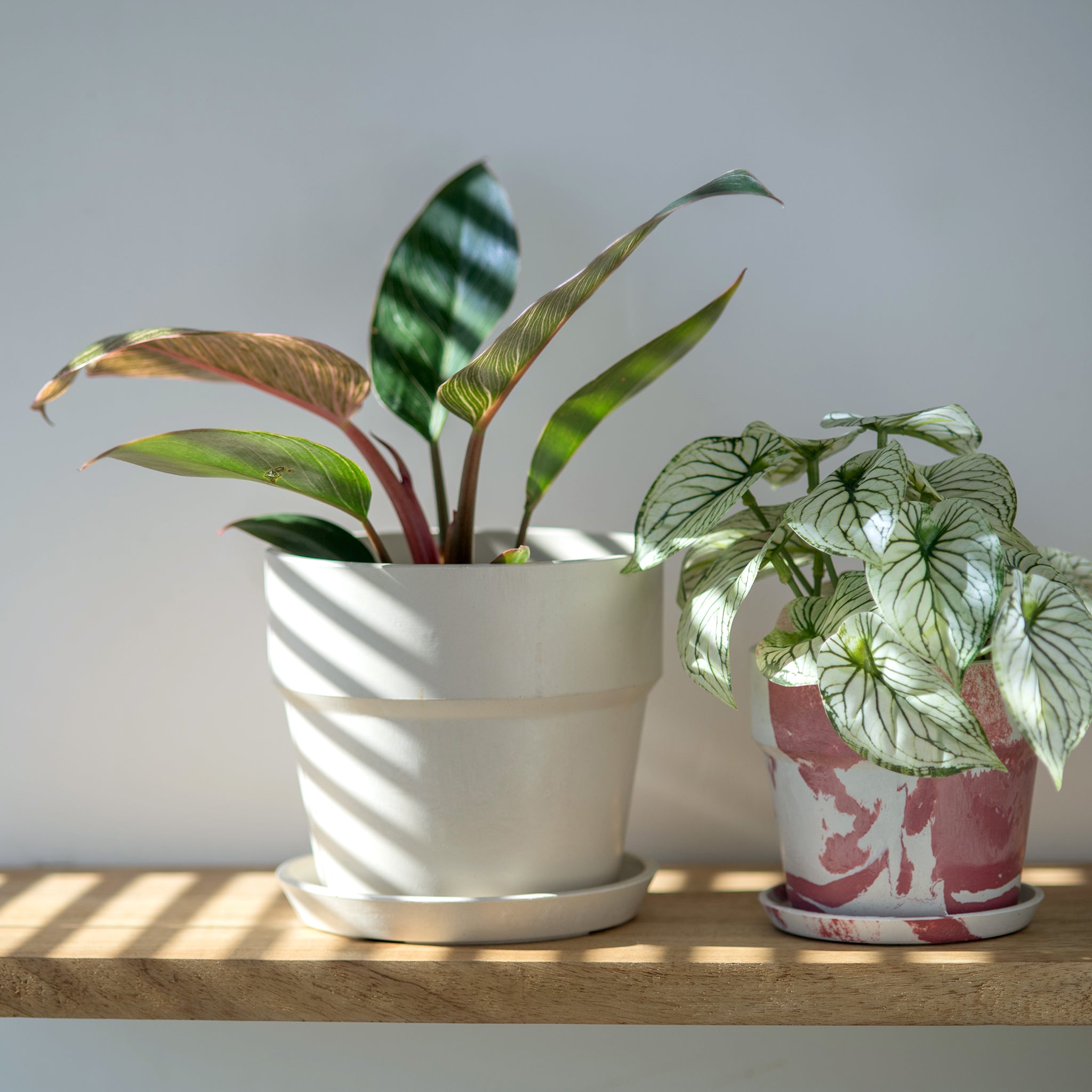 【特価セール】ポッシュリビング 植木鉢 アーバンプランツポット 約φ26.5×H 楽天市場】ポッシュリビング 植木鉢 アーバンプランツポット 約φ13×H17
