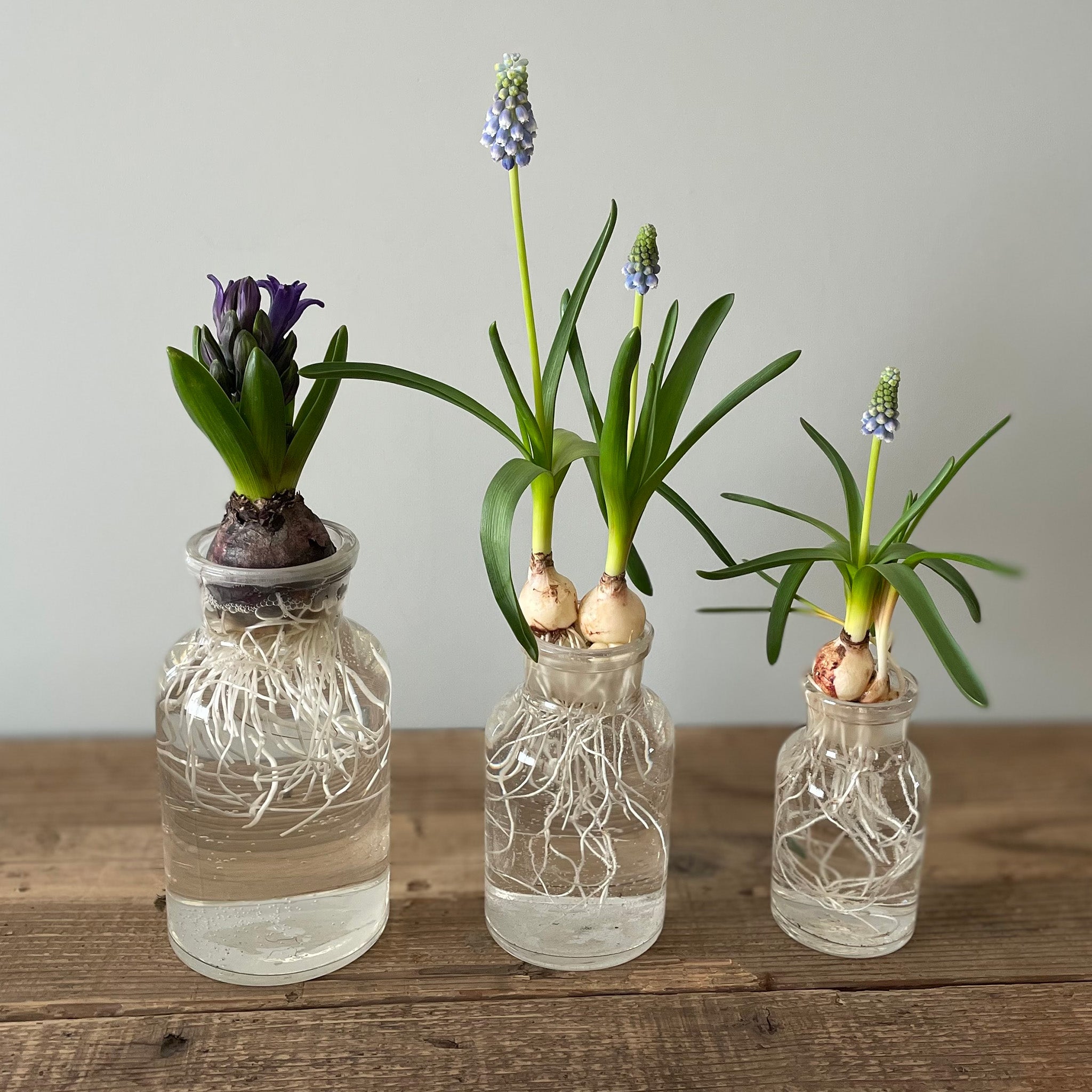 W125 メディシンボトル クリア – POSH LIVING CO.,LTD